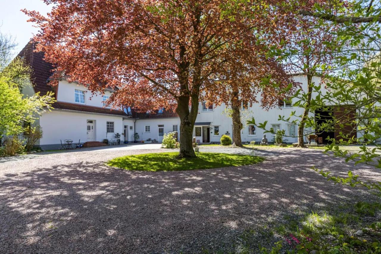 Denkerhof Ferienwohnung Deichblick Reußenköge Kültér fotó